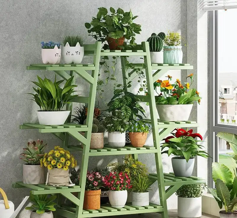 復壯技術實錄:枯萎植物重獲新生的秘密