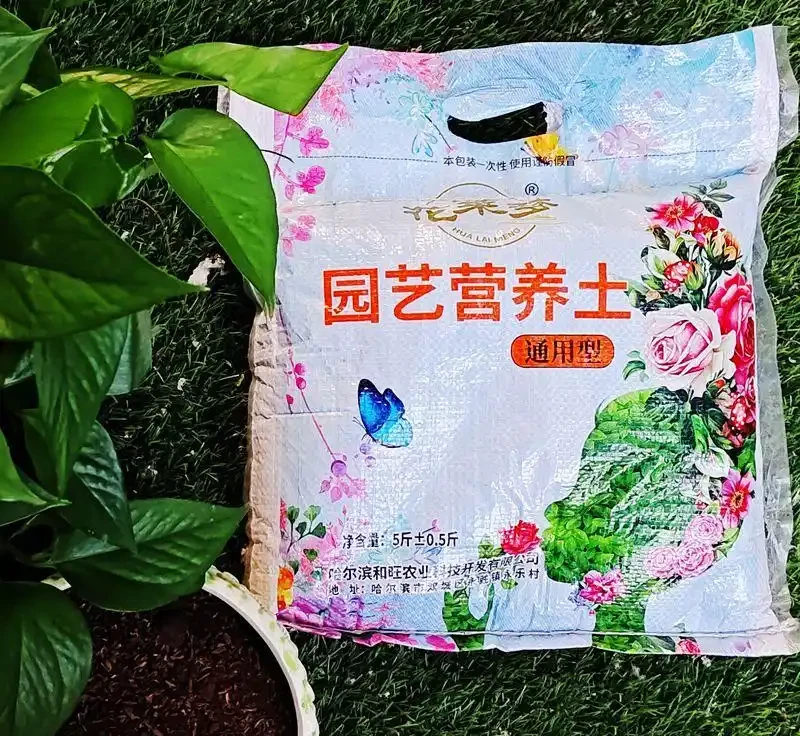 復壯技術實錄:枯萎植物重獲新生的秘密