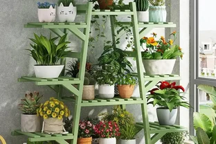 復壯技術實錄：枯萎植物重獲新生的秘密