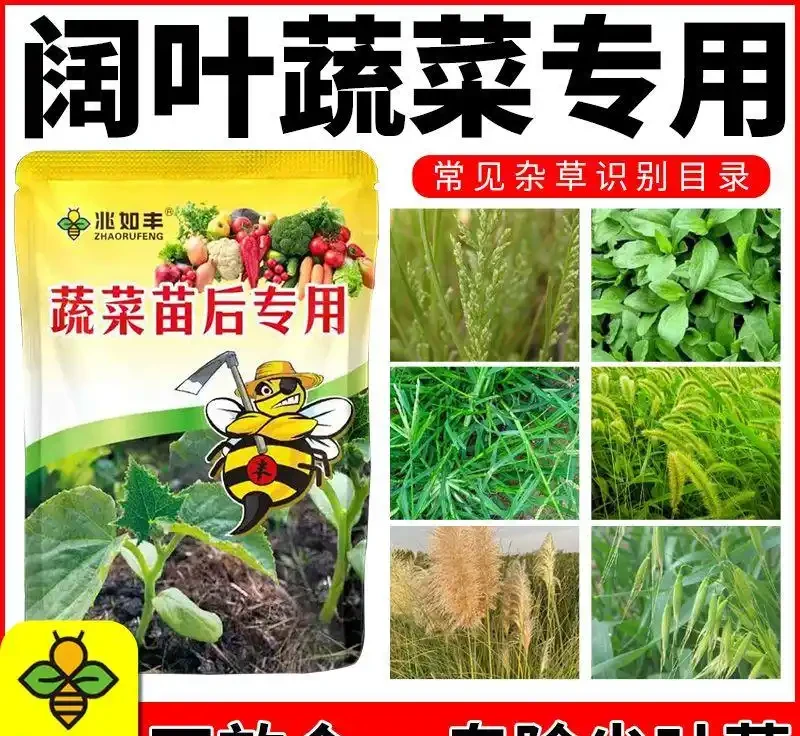 蝴蝶蘭根系呼吸有難題?松樹皮養蘭秘技曝光,這一黃金法則讓根系暢快呼吸,讓你的蝴蝶蘭煥發生機