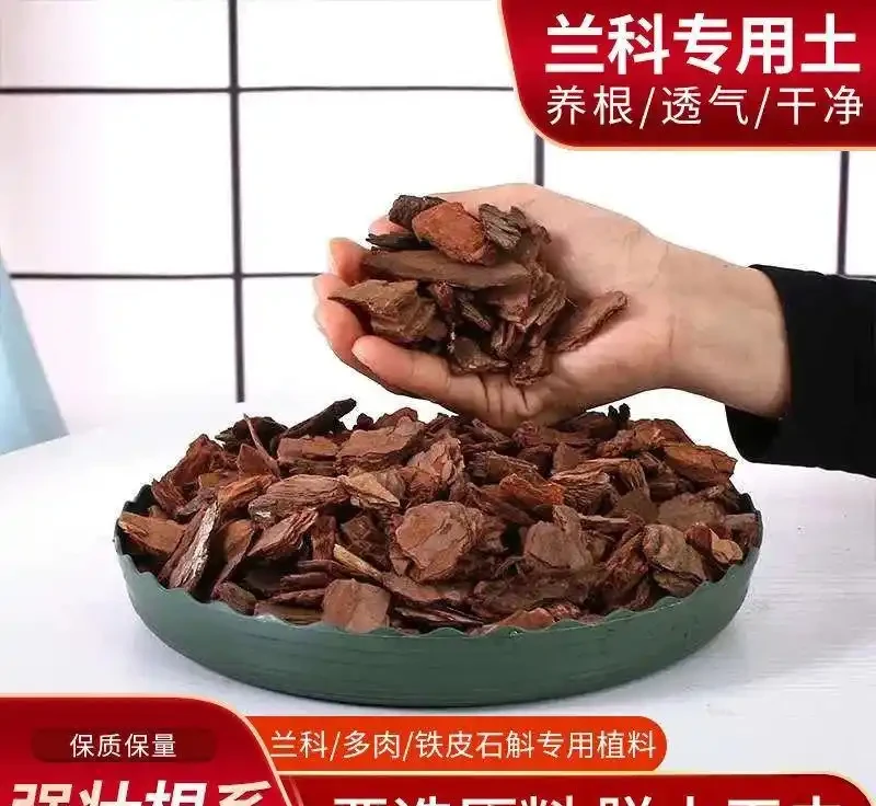 蝴蝶蘭根系呼吸有難題?松樹皮養蘭秘技曝光,這一黃金法則讓根系暢快呼吸,讓你的蝴蝶蘭煥發生機