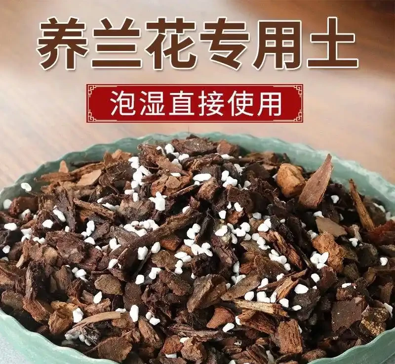 蝴蝶蘭根系呼吸有難題?松樹皮養蘭秘技曝光,這一黃金法則讓根系暢快呼吸,讓你的蝴蝶蘭煥發生機