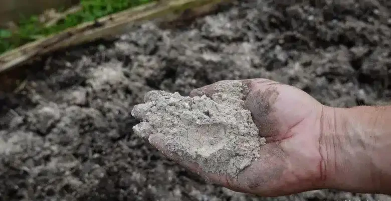 廚房垃圾變身養花「寶藏肥料」,製作得當無臭無蟲