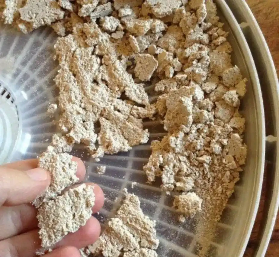 廚房垃圾變身養花「寶藏肥料」,製作得當無臭無蟲