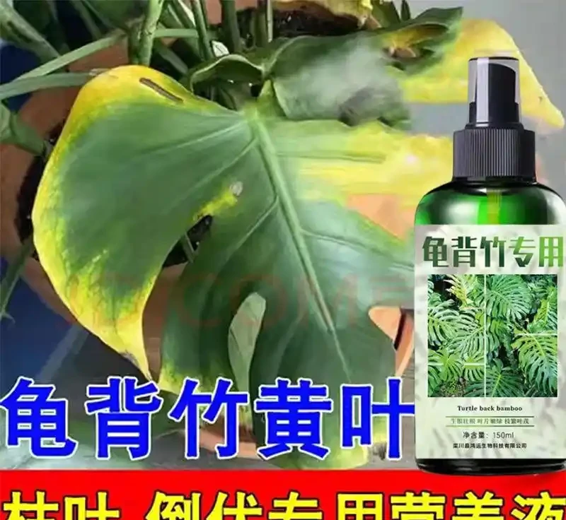 龜背芋營養液實測揭秘:起初滿心質疑,用後竟實現養植逆襲?真實效果大公開,讓你見證從懷疑到真香的轉變