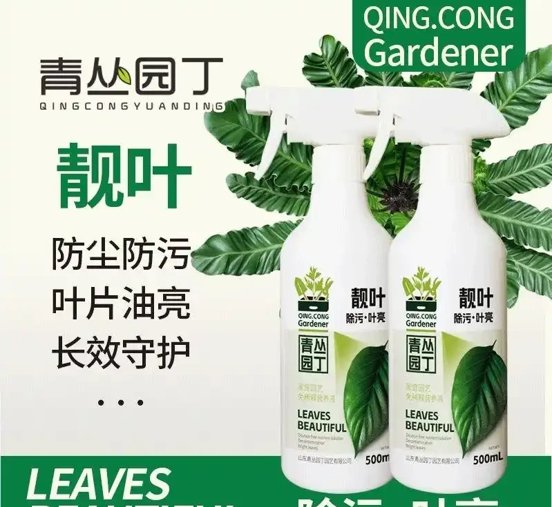想打造四季花園卻無從下手?這裡有從土壤改良到花苗培育的全套養護秘籍,讓你的花園四季繁花似錦