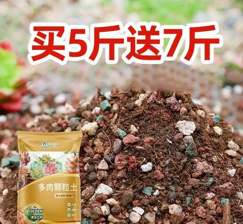 想打造四季花園卻無從下手?這裡有從土壤改良到花苗培育的全套養護秘籍,讓你的花園四季繁花似錦