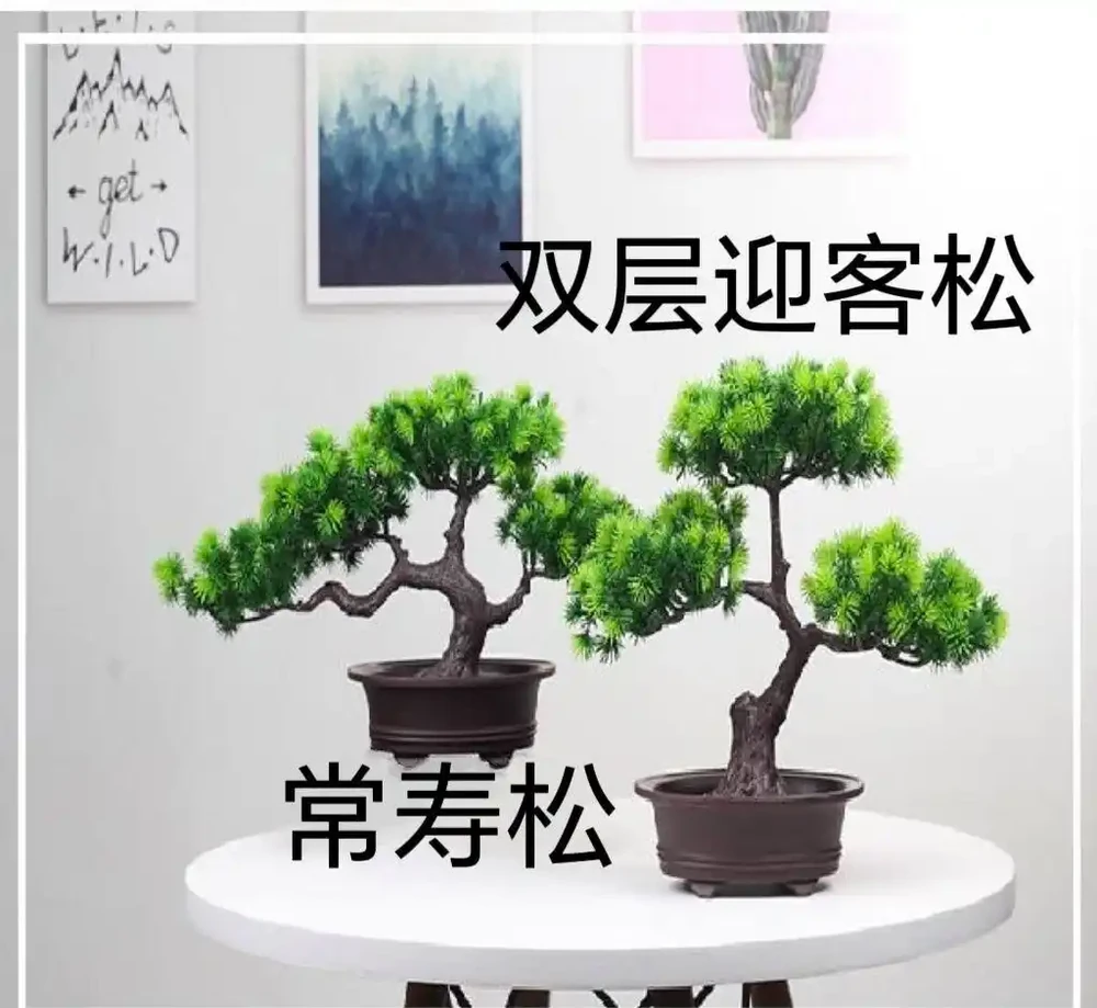 養花人注意!90%的人都不知道自己用的肥料正在毀掉植物,掌握正確施肥法,讓你的植物煥發生機