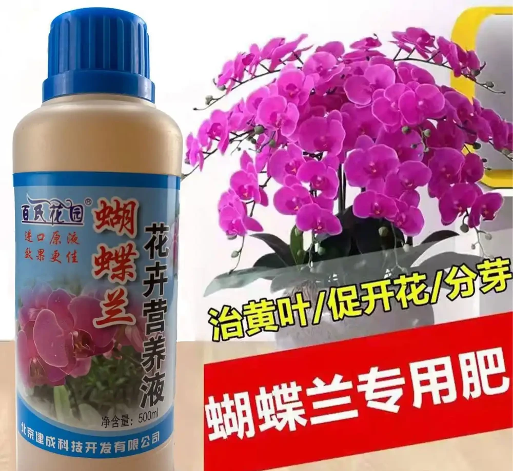 養花人注意！90%的人都不知道自己用的肥料正在毀掉植物，掌握正確施肥法，讓你的植物煥發生機