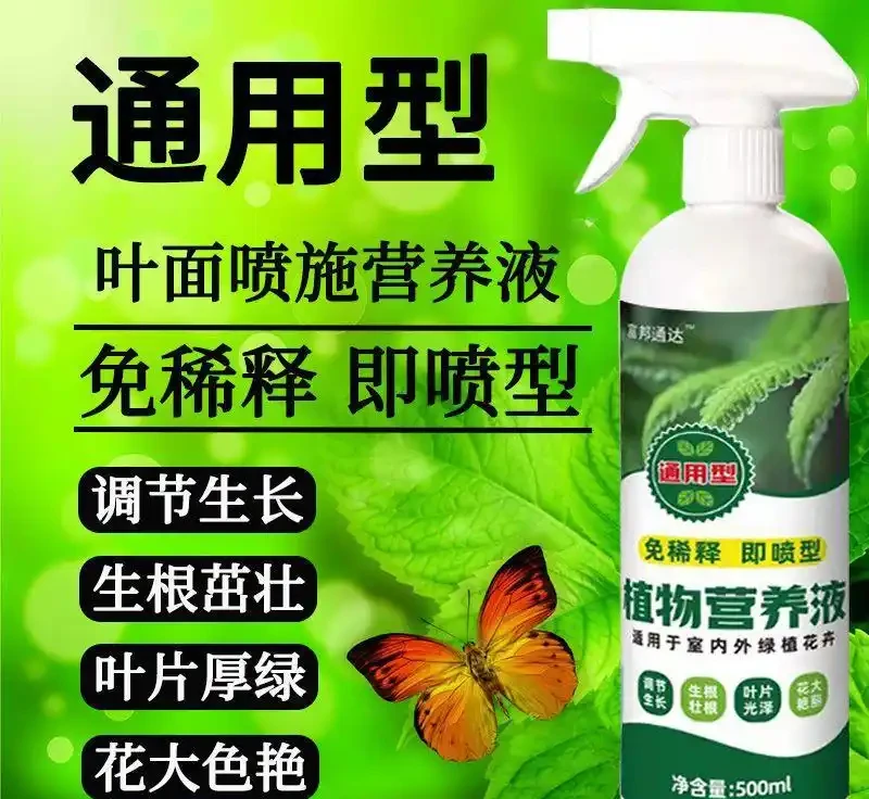 養花人注意!90%的人都不知道自己用的肥料正在毀掉植物,掌握正確施肥法,讓你的植物煥發生機