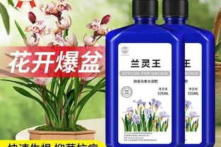 養花人注意！90%的人都不知道自己用的肥料正在毀掉植物，掌握正確施肥法，讓你的植物煥發生機