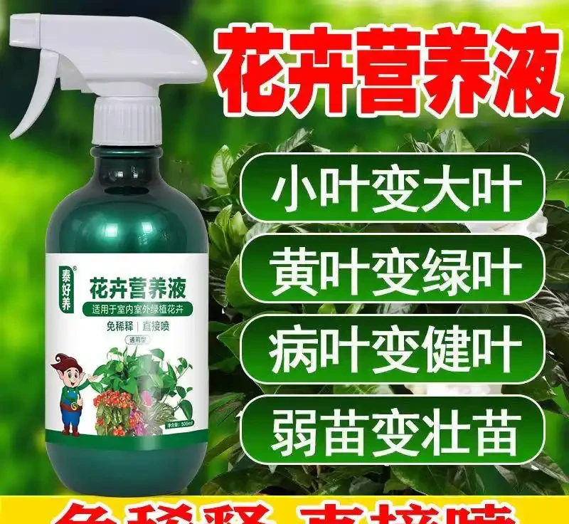 愛花人士的福音！室內外養花場景常遇肥力不足難題，內行都懂這些肥料要避坑，用對後綠植30天內葉更綠、花更豔！
