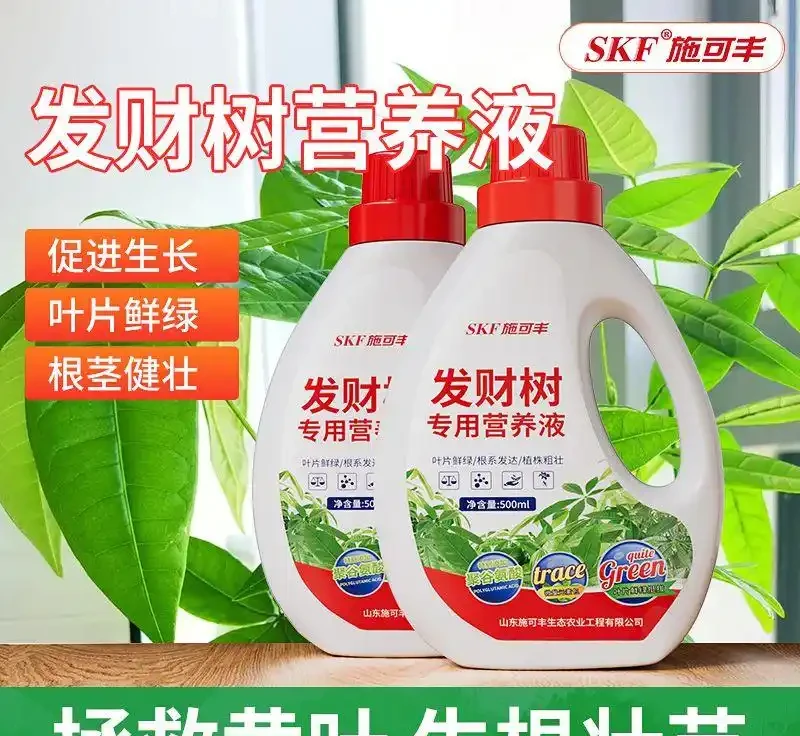 愛花人士的福音！室內外養花場景常遇肥力不足難題，內行都懂這些肥料要避坑，用對後綠植30天內葉更綠、花更豔！