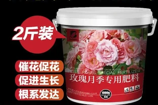 愛花人士的福音！室內外養花場景常遇肥力不足難題，內行都懂這些肥料要避坑，用對後綠植30天內葉更綠、花更豔！