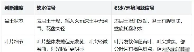 九重葛葉片發軟?原因有3個,及時改正,1周就能恢復!