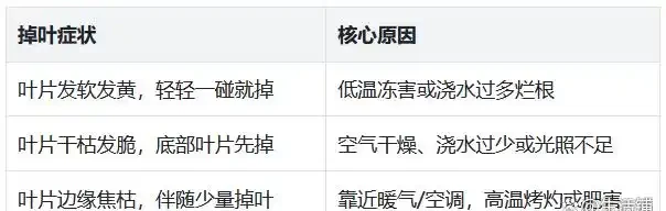鴨腳木冬季瘋狂掉葉,3個急救技巧,快速穩住,春天冒新芽