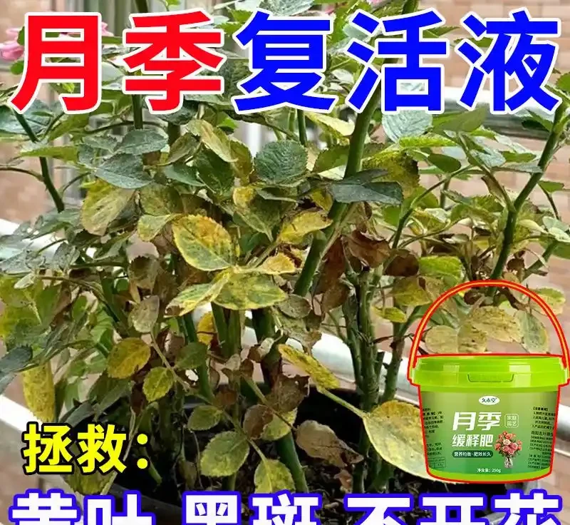 新手養花總擔心肥料用不好?內行都在選的月季玫瑰緩釋肥,不僅肥力持久,用3個月後,花朵數量多一倍、花色更鮮豔!