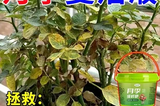 新手養花總擔心肥料用不好？內行都在選的月季玫瑰緩釋肥，不僅肥力持久，用3個月後，花朵數量多一倍、花色更鮮豔！