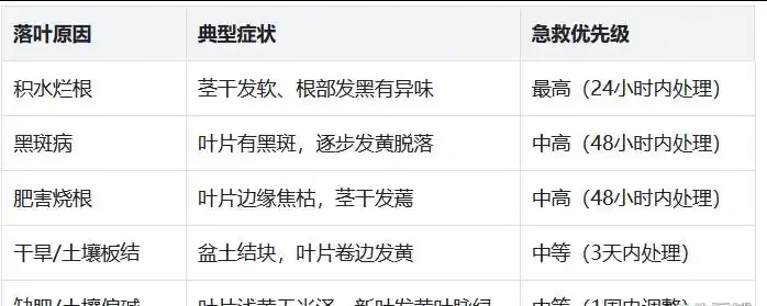 玫瑰掉成光桿別扔!3步找準原因,對症急救,7天冒新芽