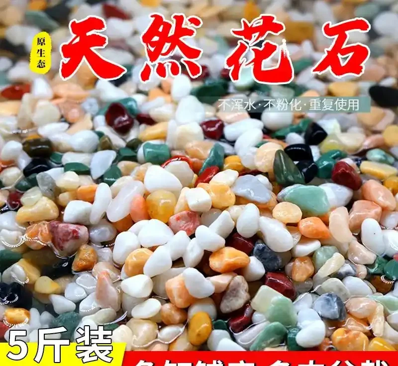 新手養花總踩坑?園藝達人私藏進階指南:鋪面石選發泡煉石/火山石、修枝剪挑錳鋼,3個月少腐根5次省30%養護成本!