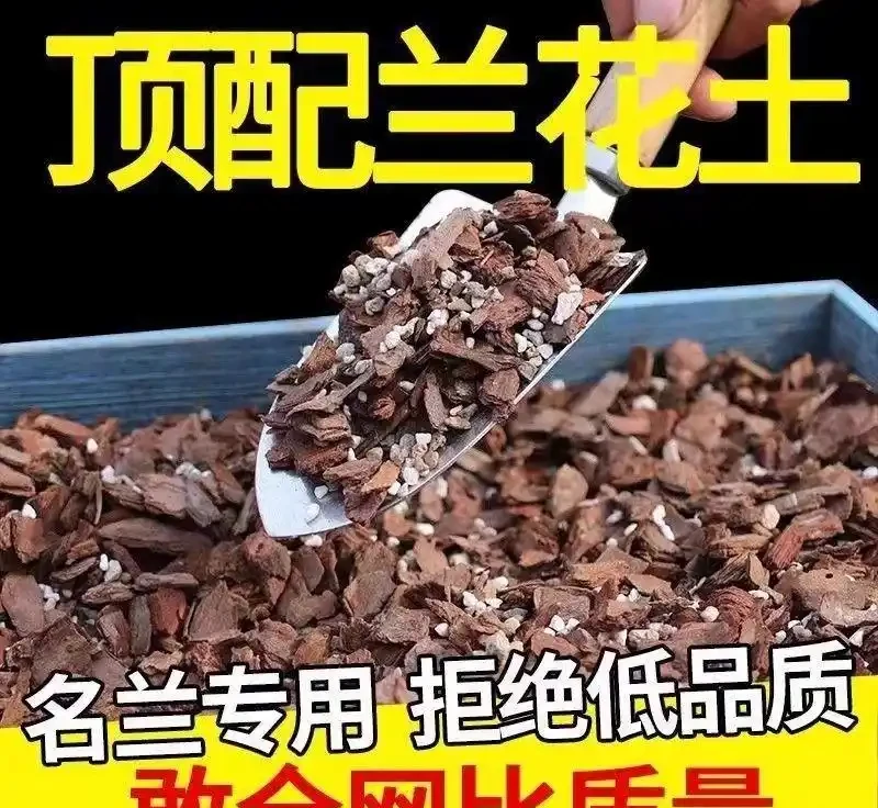 新手養花總踩坑?園藝達人私藏進階指南:鋪面石選發泡煉石/火山石、修枝剪挑錳鋼,3個月少腐根5次省30%養護成本!