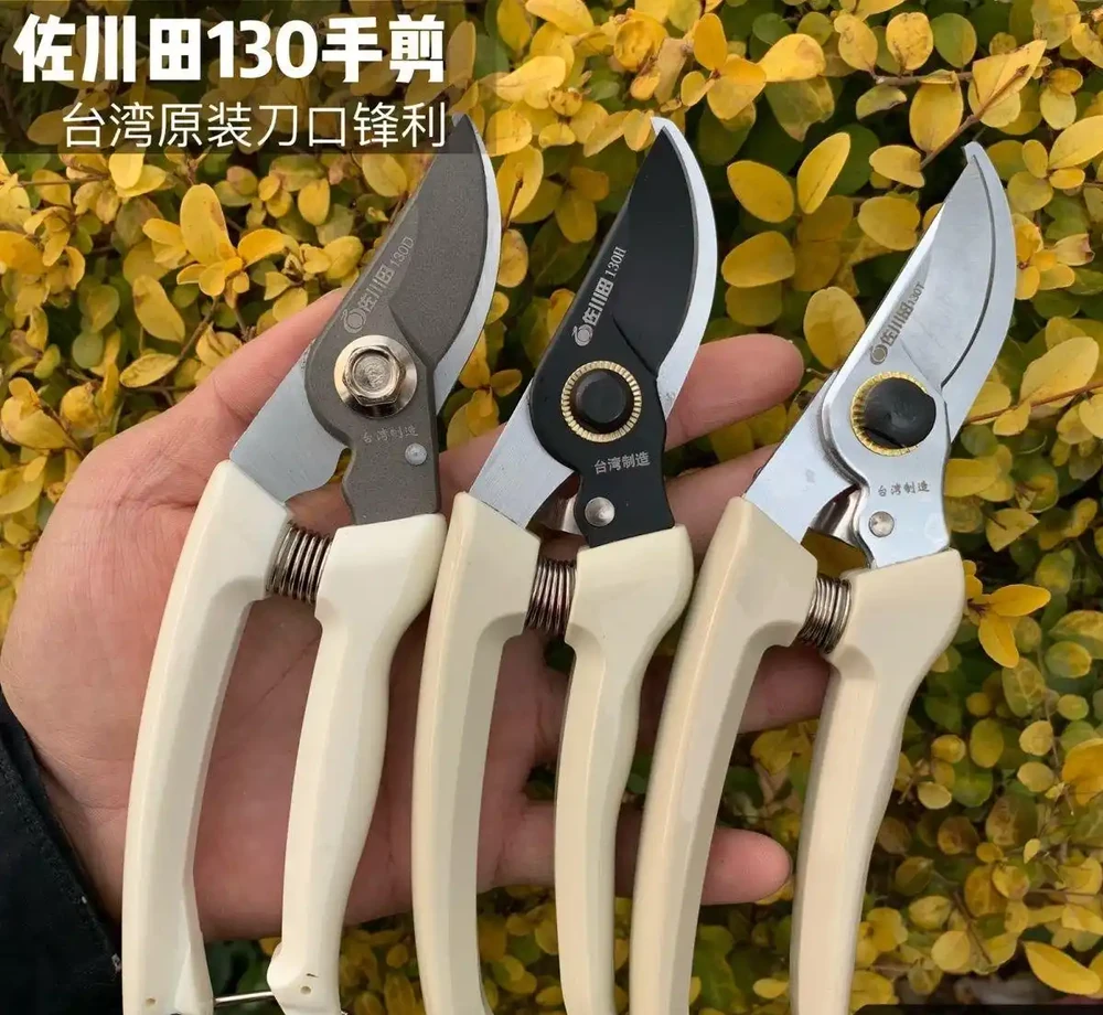新手養花總踩坑?園藝達人私藏進階指南:鋪面石選發泡煉石/火山石、修枝剪挑錳鋼,3個月少腐根5次省30%養護成本!