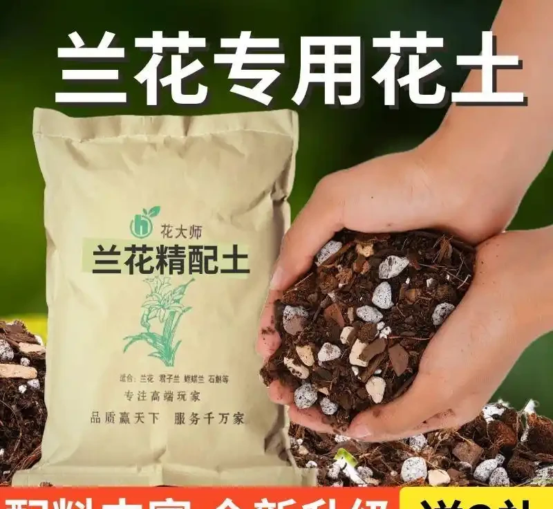 新手養花總踩坑?園藝達人私藏進階指南:鋪面石選發泡煉石/火山石、修枝剪挑錳鋼,3個月少腐根5次省30%養護成本!
