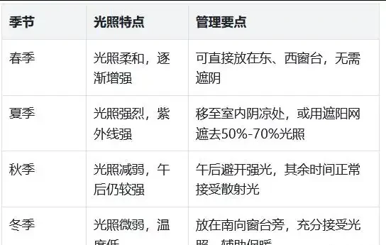 要龜背芋葉片肥大油綠,掌握「2多1怕」,株型旺到爆!