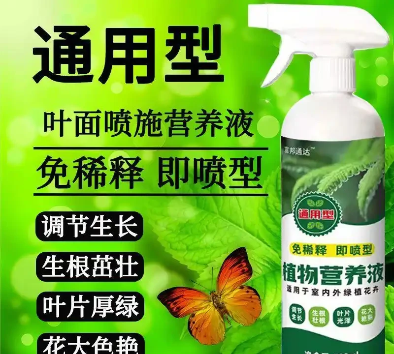 新手養綠植總養不活?內行人透露這些營養液和土壤的選擇技巧,用對後花草葉子油綠、根系發達,生機勃勃!
