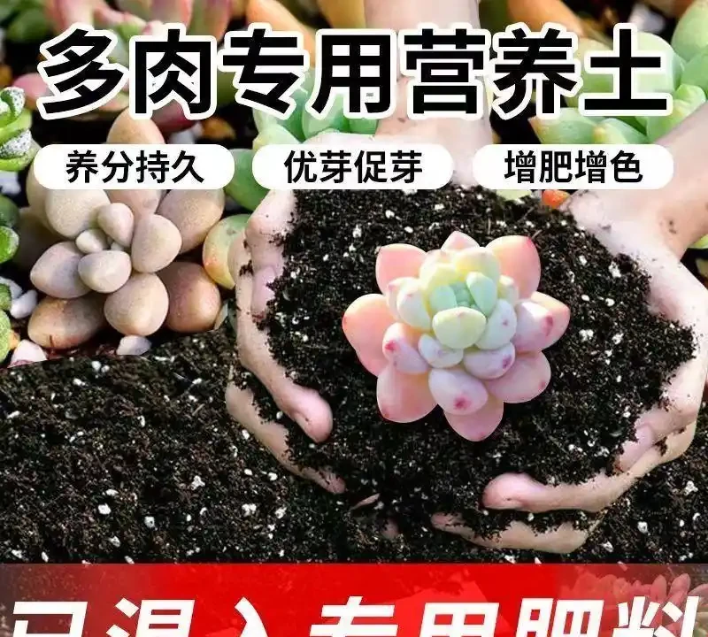 新手養綠植總養不活?內行人透露這些營養液和土壤的選擇技巧,用對後花草葉子油綠、根系發達,生機勃勃!