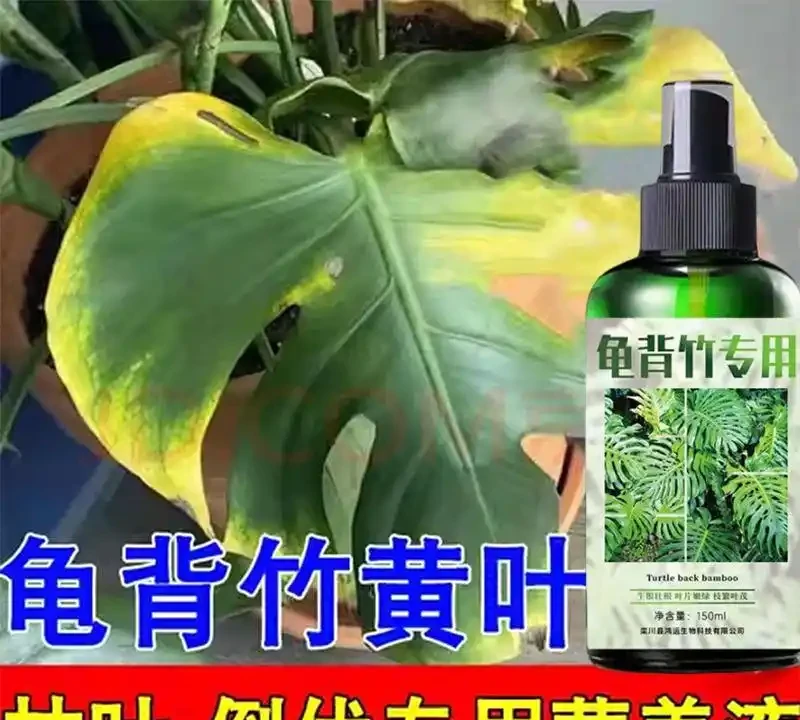 新手養綠植總養不活?內行人透露這些營養液和土壤的選擇技巧,用對後花草葉子油綠、根系發達,生機勃勃!