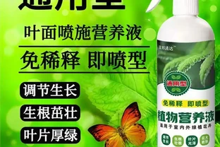 新手養綠植總養不活？內行人透露這些營養液和土壤的選擇技巧，用對後花草葉子油綠、根系發達，生機勃勃！