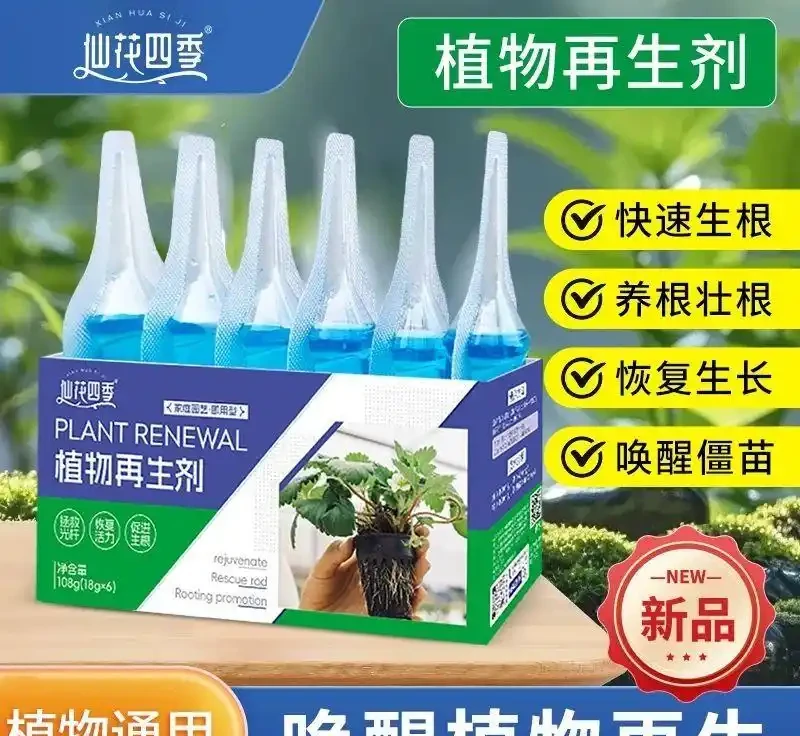 新手養蝴蝶蘭總踩坑?內行從促花到鋪面的養護全攻略來了!掌握這些方法,讓你的蝴蝶蘭年年復花,實現精緻園藝體驗