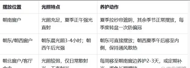 幸福樹喜陰還是喜陽?放對地方養,葉片翠綠不黃葉