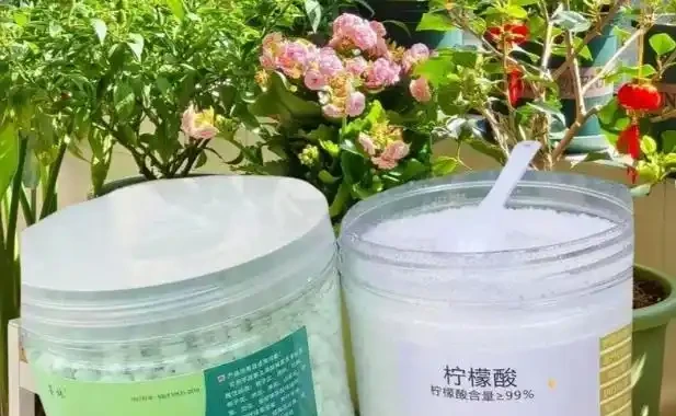 你的硫酸亞鐵可能白用了!避開三個誤區,喜酸植物才能綠得發亮!
