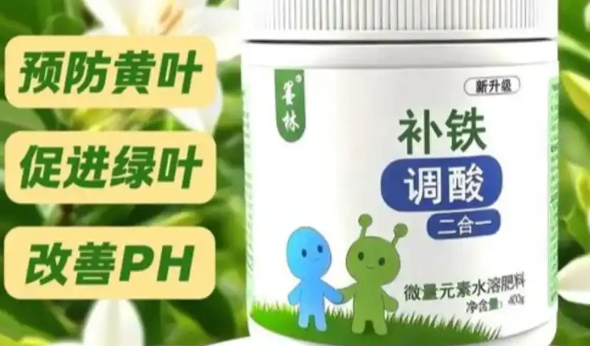 你的硫酸亞鐵可能白用了!避開三個誤區,喜酸植物才能綠得發亮!