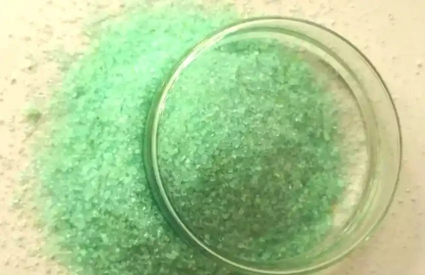 你的硫酸亞鐵可能白用了!避開三個誤區,喜酸植物才能綠得發亮!