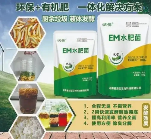 家庭園藝愛好者的福音！面對植物生長緩慢、葉子發黃等難題，這些內行都在用的高效肥料，能讓植物30天內枝繁葉茂！