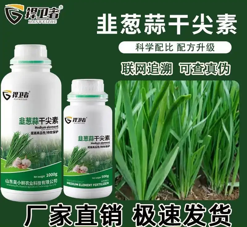 家庭園藝愛好者的福音！面對植物生長緩慢、葉子發黃等難題，這些內行都在用的高效肥料，能讓植物30天內枝繁葉茂！
