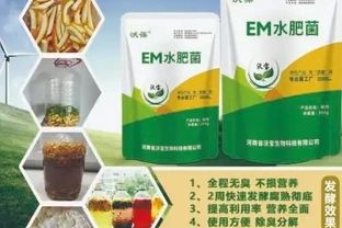 家庭園藝愛好者的福音！面對植物生長緩慢、葉子發黃等難題，這些內行都在用的高效肥料，能讓植物30天內枝繁葉茂！