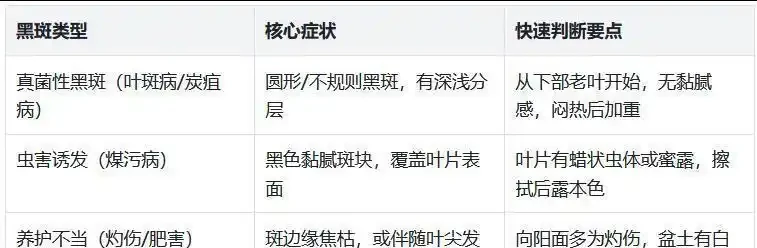 救命!幸福樹葉子長滿「老年斑」?剪葉噴藥是其次,這3個習慣才是禍根