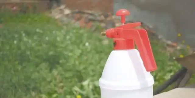 白糖水澆花別亂折騰，搞懂好處與禁忌才能養出滿盆好花！