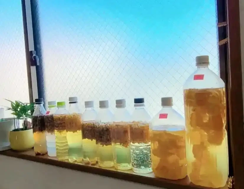 養花不花一分錢!6種天然花肥在家就能做,肥效高又環保
