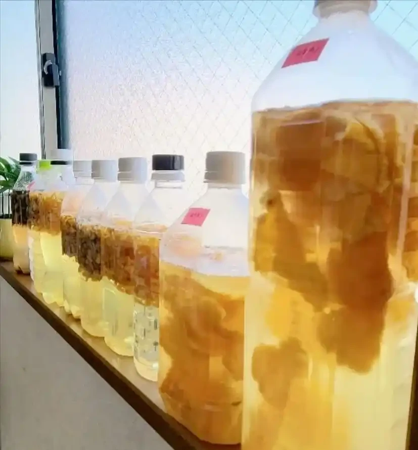 養花不花一分錢!6種天然花肥在家就能做,肥效高又環保
