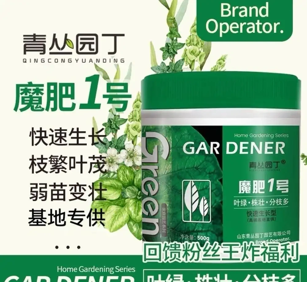 新手養蘭總掉葉?內行透露蘭花養護秘密武器,堅持使用3個月,每一片葉子都油綠挺拔,煥發出勃勃生機!