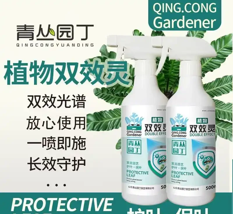 新手養蘭總掉葉?內行透露蘭花養護秘密武器,堅持使用3個月,每一片葉子都油綠挺拔,煥發出勃勃生機!