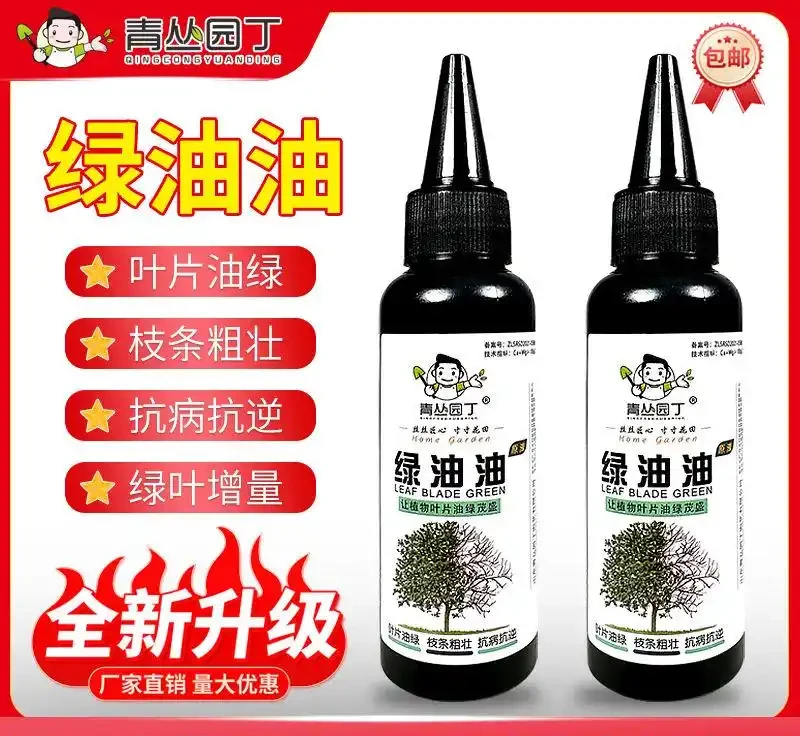 新手養蘭總掉葉?內行透露蘭花養護秘密武器,堅持使用3個月,每一片葉子都油綠挺拔,煥發出勃勃生機!