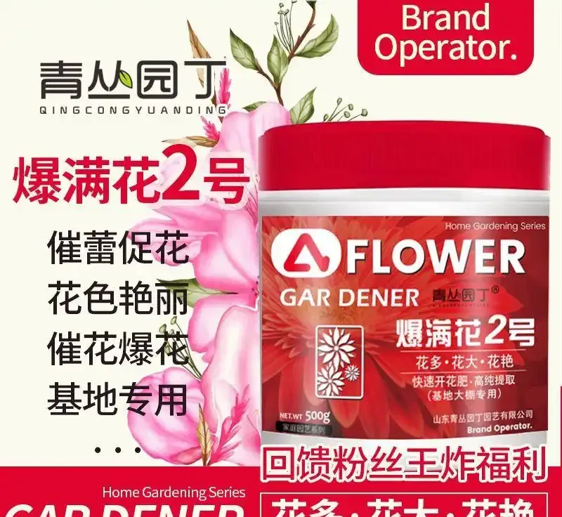 新手養蘭總掉葉?內行透露蘭花養護秘密武器,堅持使用3個月,每一片葉子都油綠挺拔,煥發出勃勃生機!