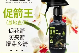 新手養蘭總掉葉？內行透露蘭花養護秘密武器，堅持使用3個月，每一片葉子都油綠挺拔，煥發出勃勃生機！