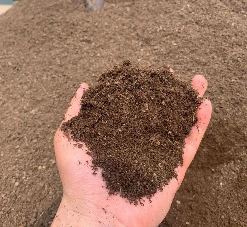 盆栽自制肥料避坑指南:啤酒、淘米水別亂澆!學會這樣發酵,植物長得旺